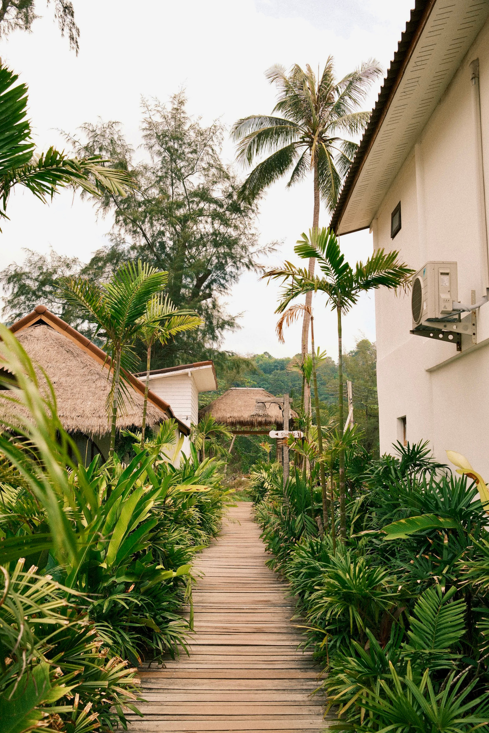 Palm-lined walkway to a tropical resort